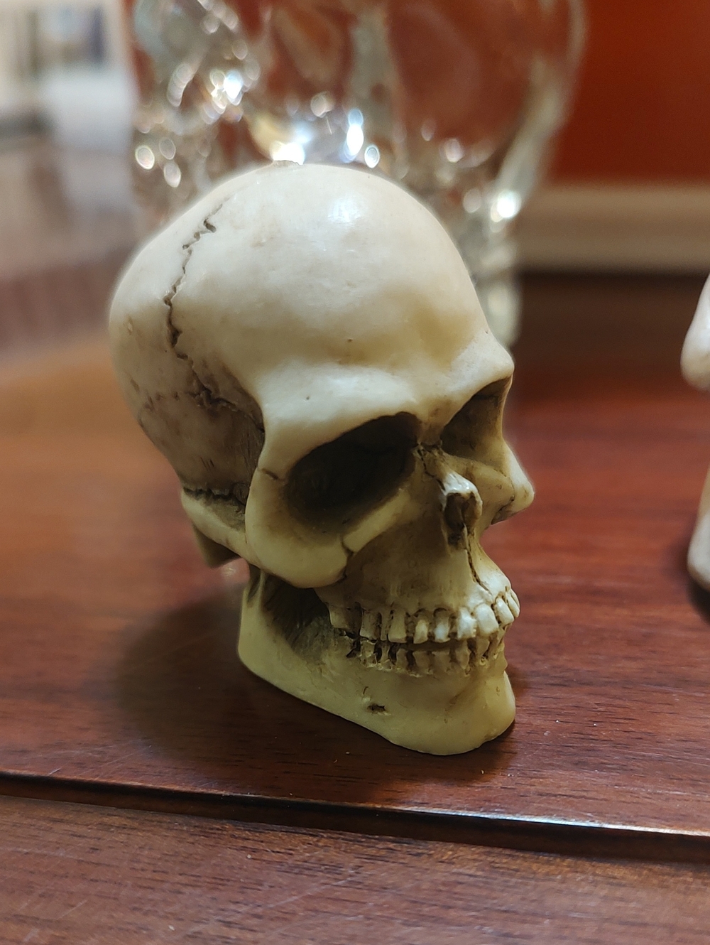 Decorative Cream Skull Accent Sculpture - Home Art